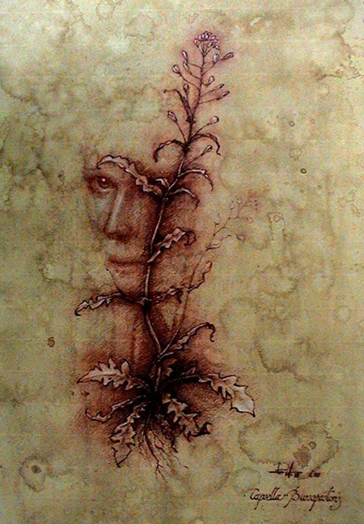 Ilustración original: rostro entrelazado con un tallo y raíces, en tonos ocres.